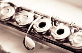 Флейта: история, видео, интересные факты, слушать Флейтисты на празднике: как выбрать